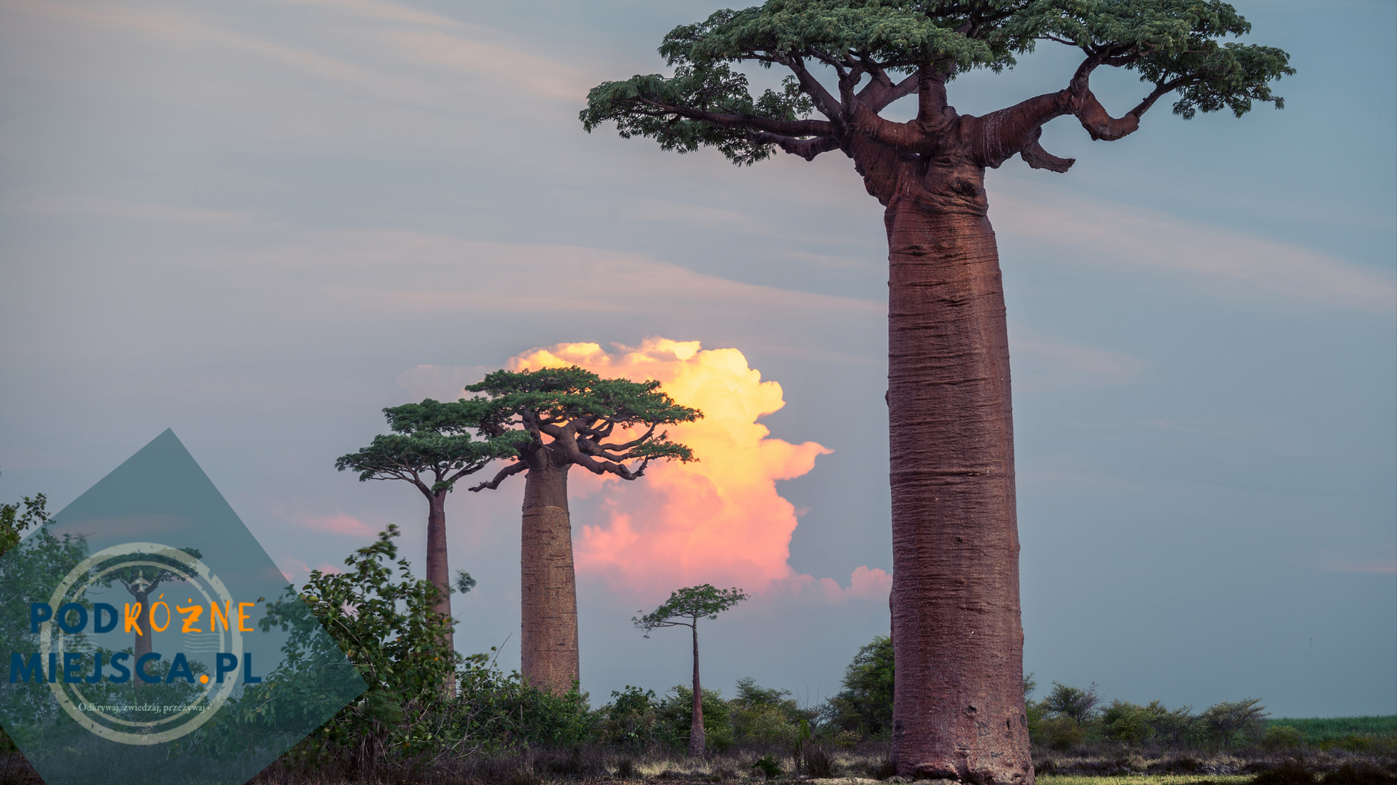 Ile kosztują wakacje na Madagaskarze – Pełny przewodnik po kosztach podróży