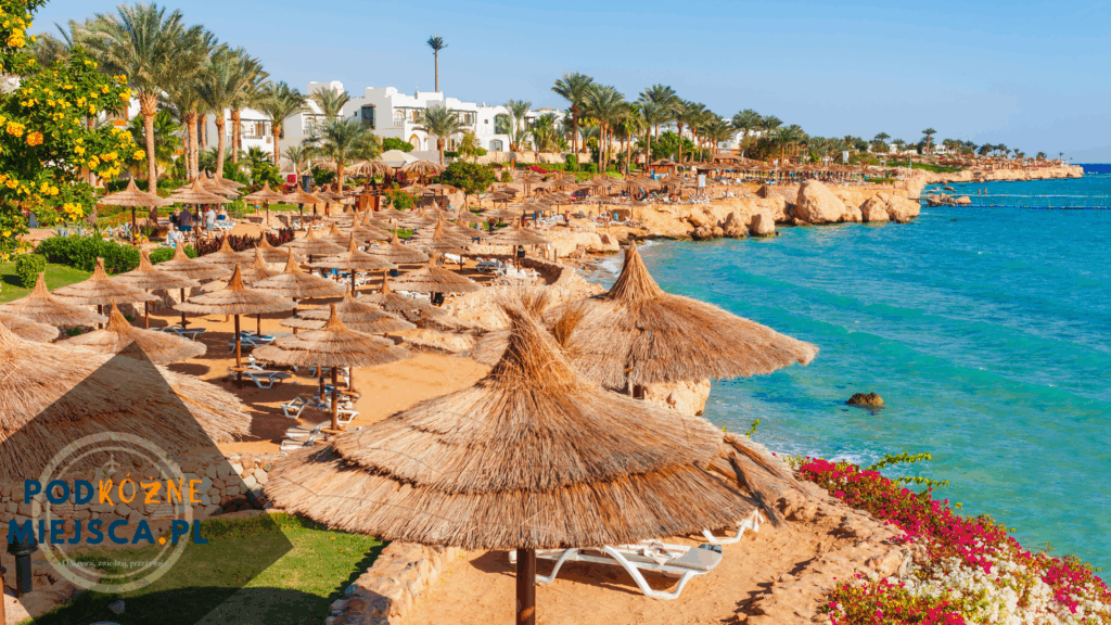 Ile pieniędzy do egiptu all inclusive na 7 dni