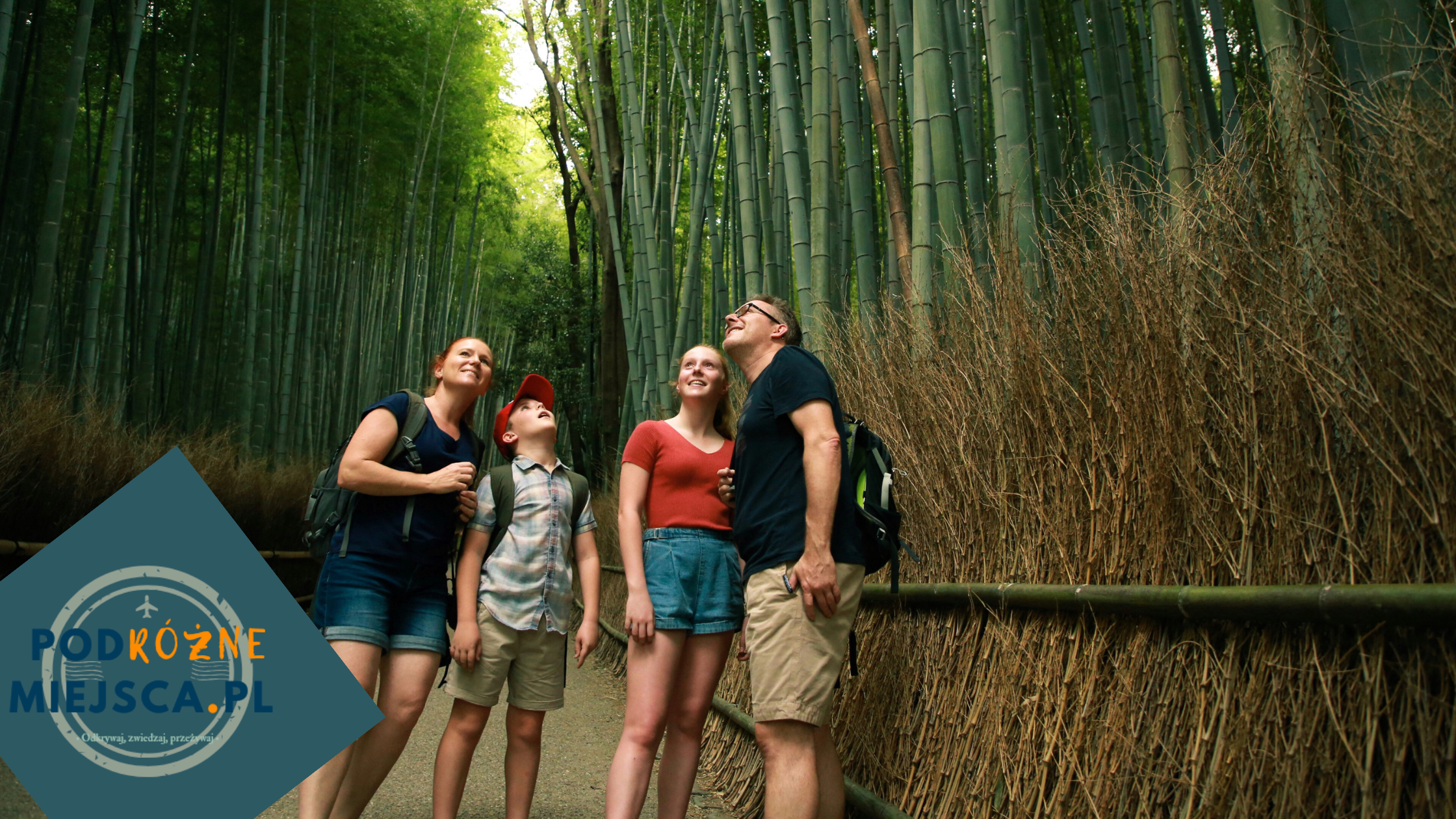 Japonia na własną rękę – Przewodnik po niezależnym wyjeździe