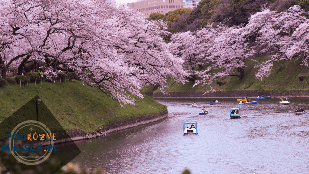 Koszt wycieczek i atrakcji turystycznych w Japonii