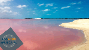 Read more about the article Różowa Plaża Meksyk – Przewodnik po jednym z najbardziej niezwykłych miejsc na świecie