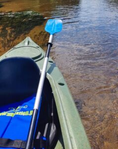 Read more about the article Spływ Kajakowy w Borach Tucholskich – Przygoda w sercu polskiej przyrody (nasza relacja)