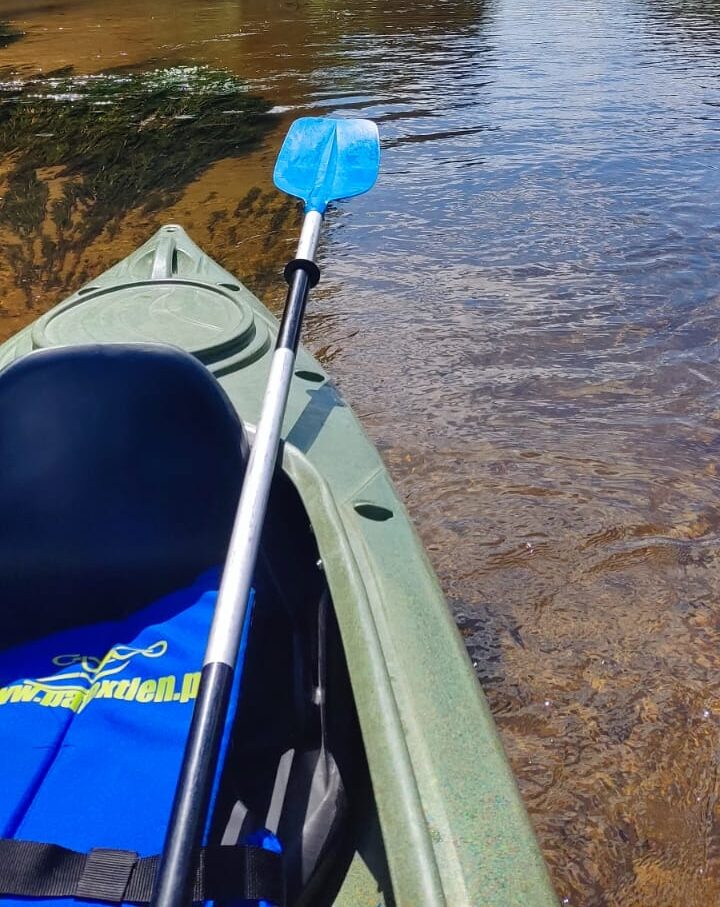 Spływ wdą w borach tucholskich