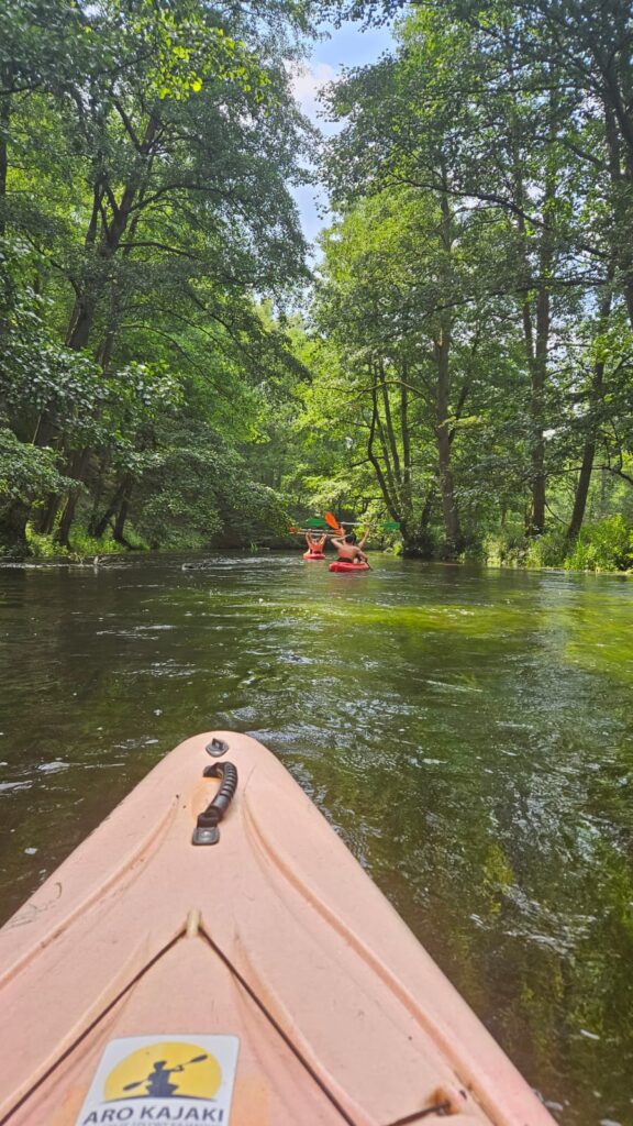 Spływy kajkowe Tleń