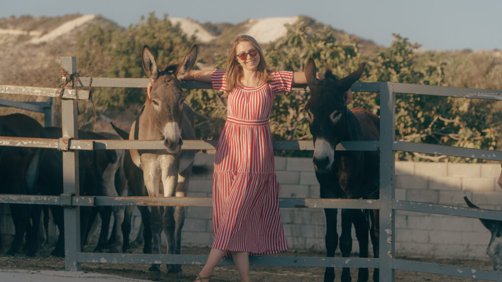 Osiołki na cyprze - z wody ladu i powietrza