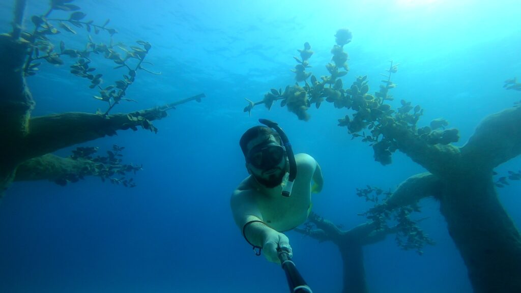 nurkowanie na Cyprze - z wody ladu i powietrza