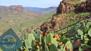 Read more about the article Gran Canaria – 10 najlepszych atrakcji – co zobaczyć