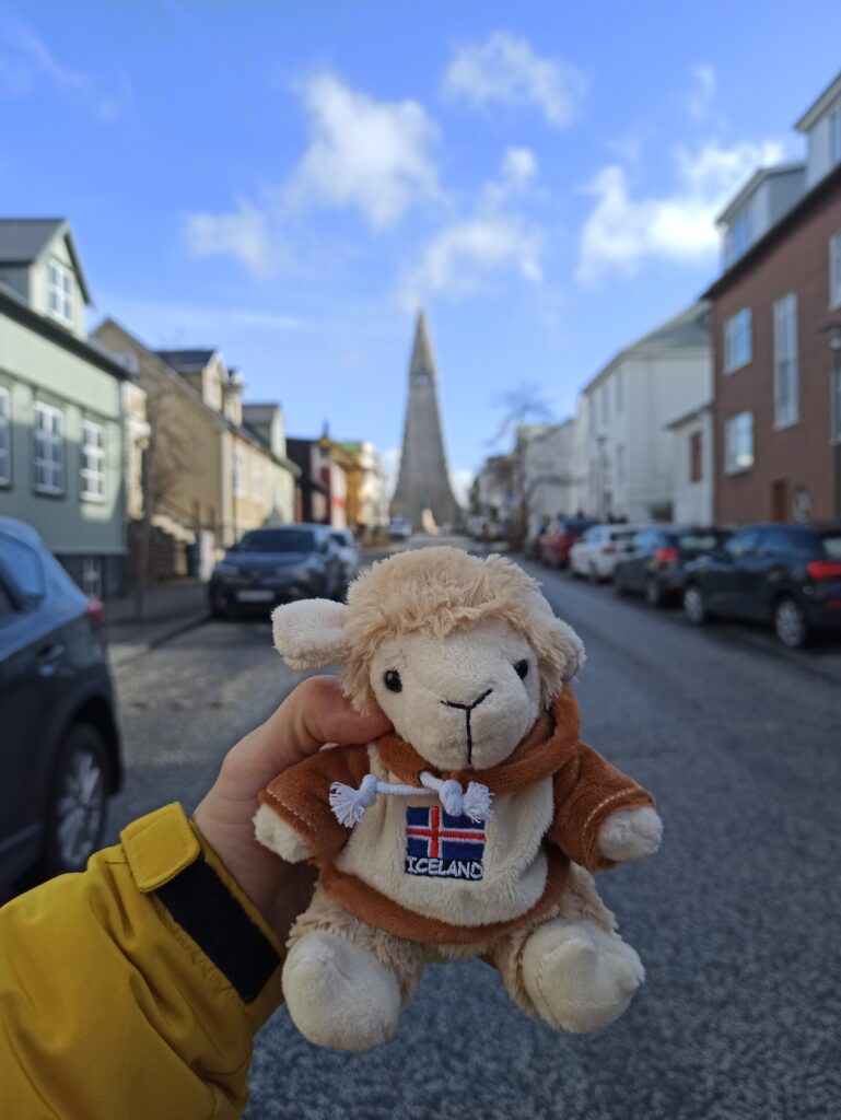 Reykjavik pamiątki z islandii