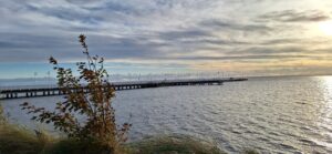 Read more about the article Weekend na Helu w październiku – złota jesień, wiatr od morza i cisza