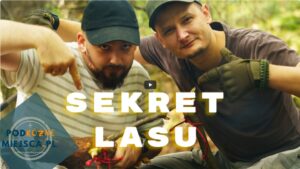 Read more about the article Survival w lesie – czyli jak nuda zamieniła się w kreatywną przygodę