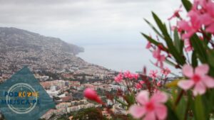 Read more about the article Czy warto lecieć na Maderę w styczniu, lutym lub marcu? – pogoda i koszty
