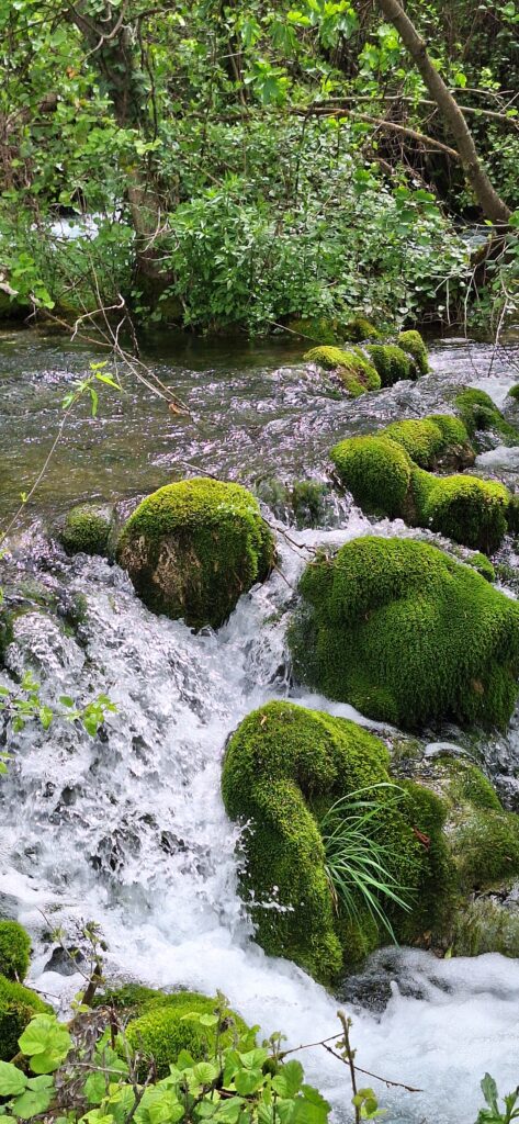 Wodospady Krka Chorwacja