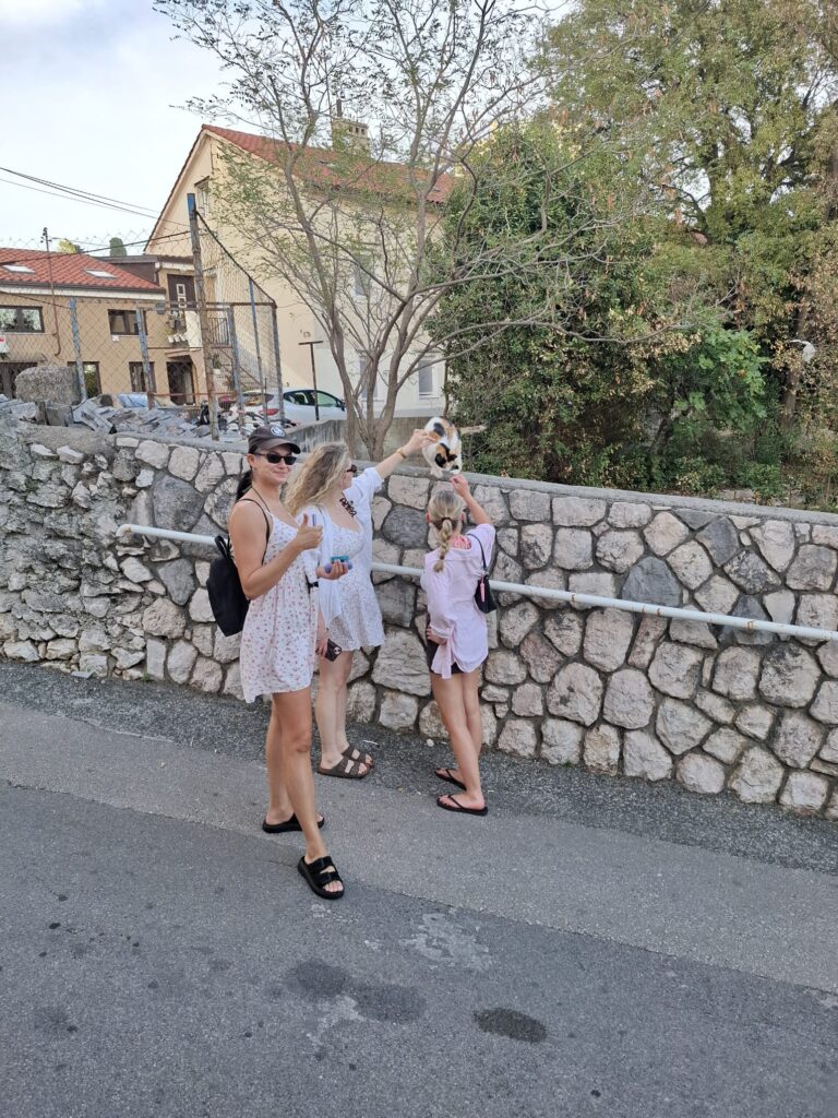 Chorwacja koty